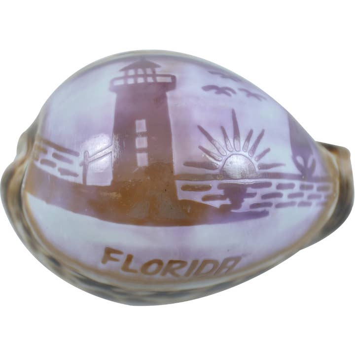 Carved Cowrie "FLORIDA" for wholesale by HS Seashells