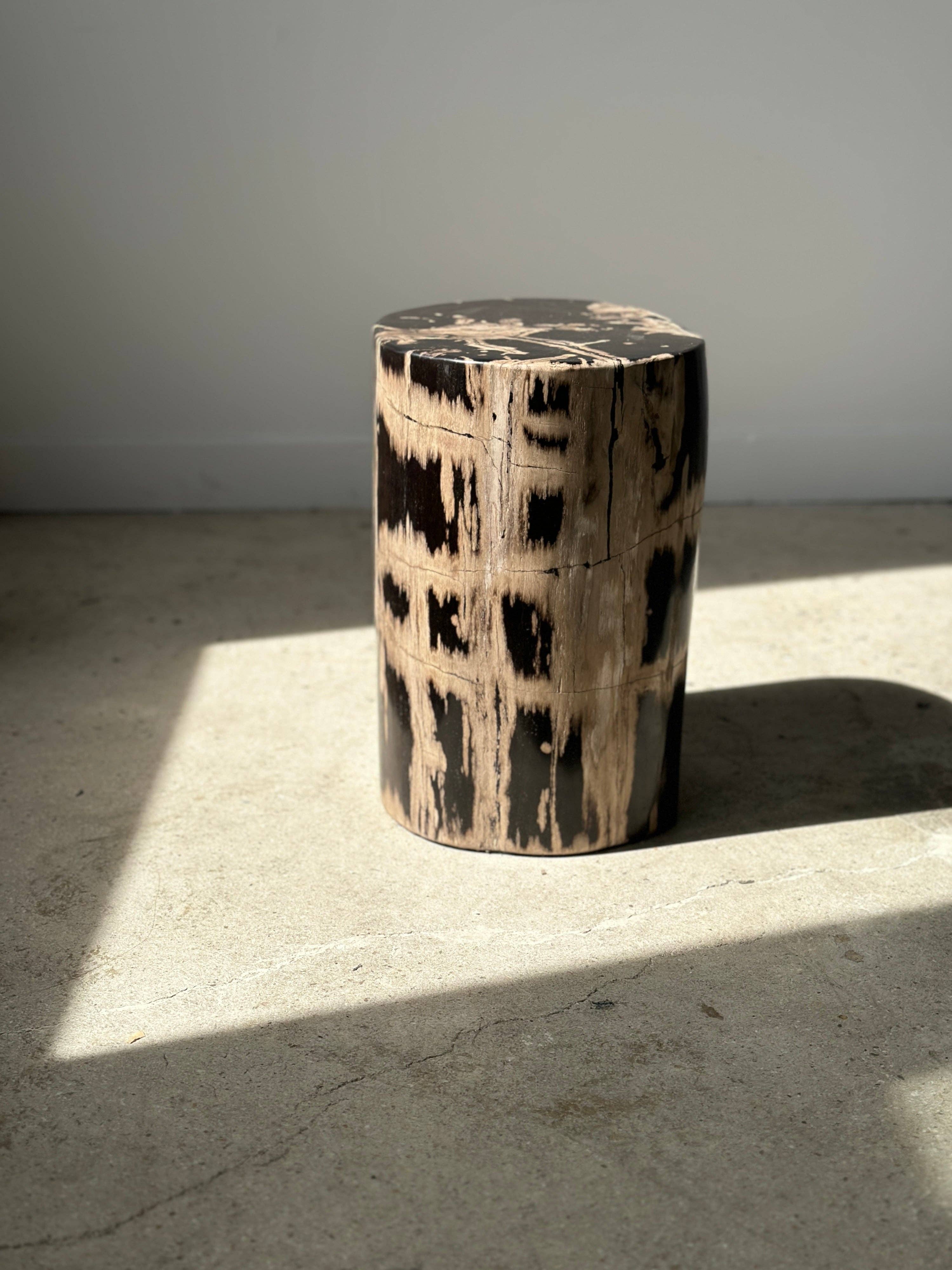 Office Objets - Vente Tables d'appoint - Table d'appoint en bois pétrifié33