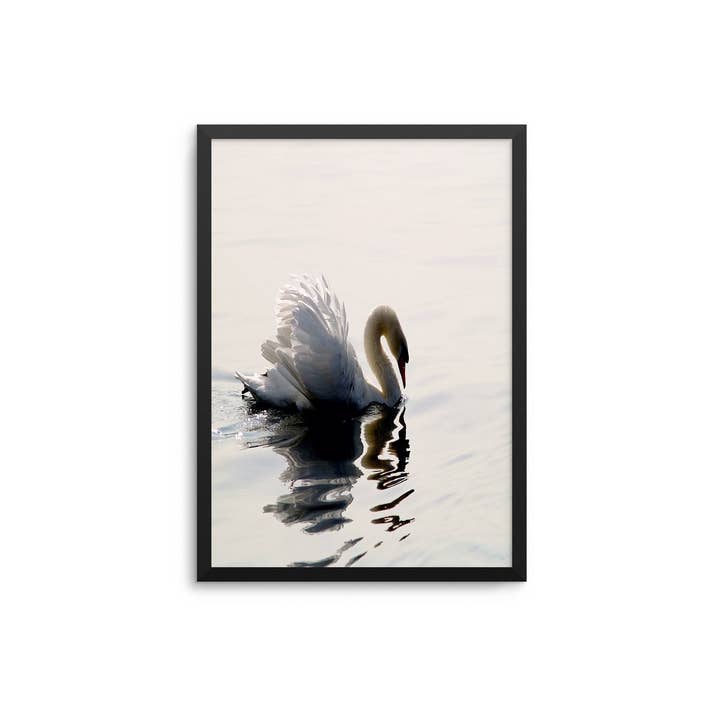 Stampa Swan Love per la vendita all'ingrosso da parte di D'LUXE PRINTS