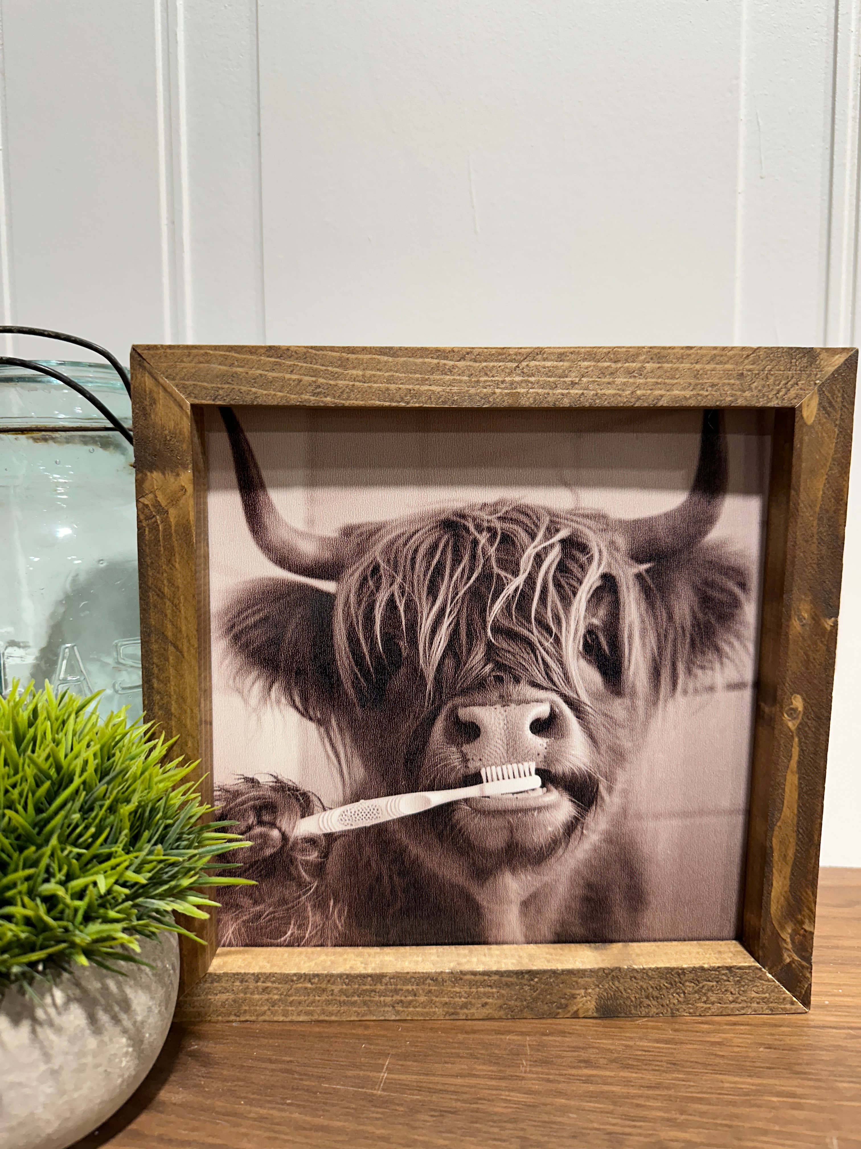 The Broken Board – Engroshandel Kunsttryk – Sjov ko børster tænder1