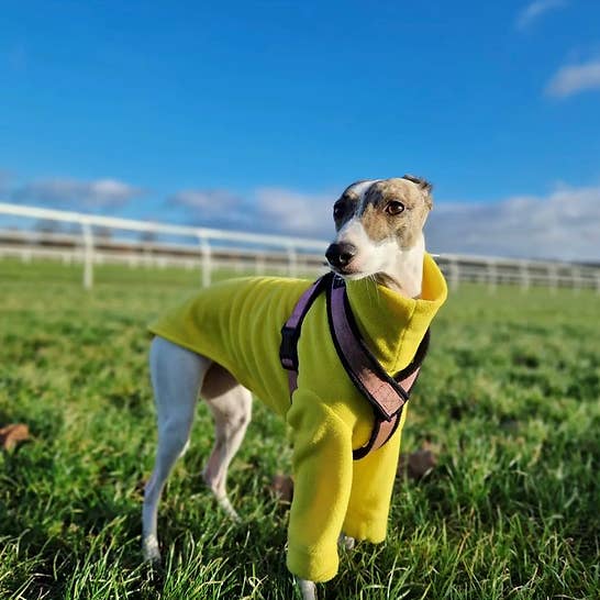 Bella Katee Pets – wholesale Pet coat – Dog – Sighthound water resistant fleece - blue shades with sleeves3