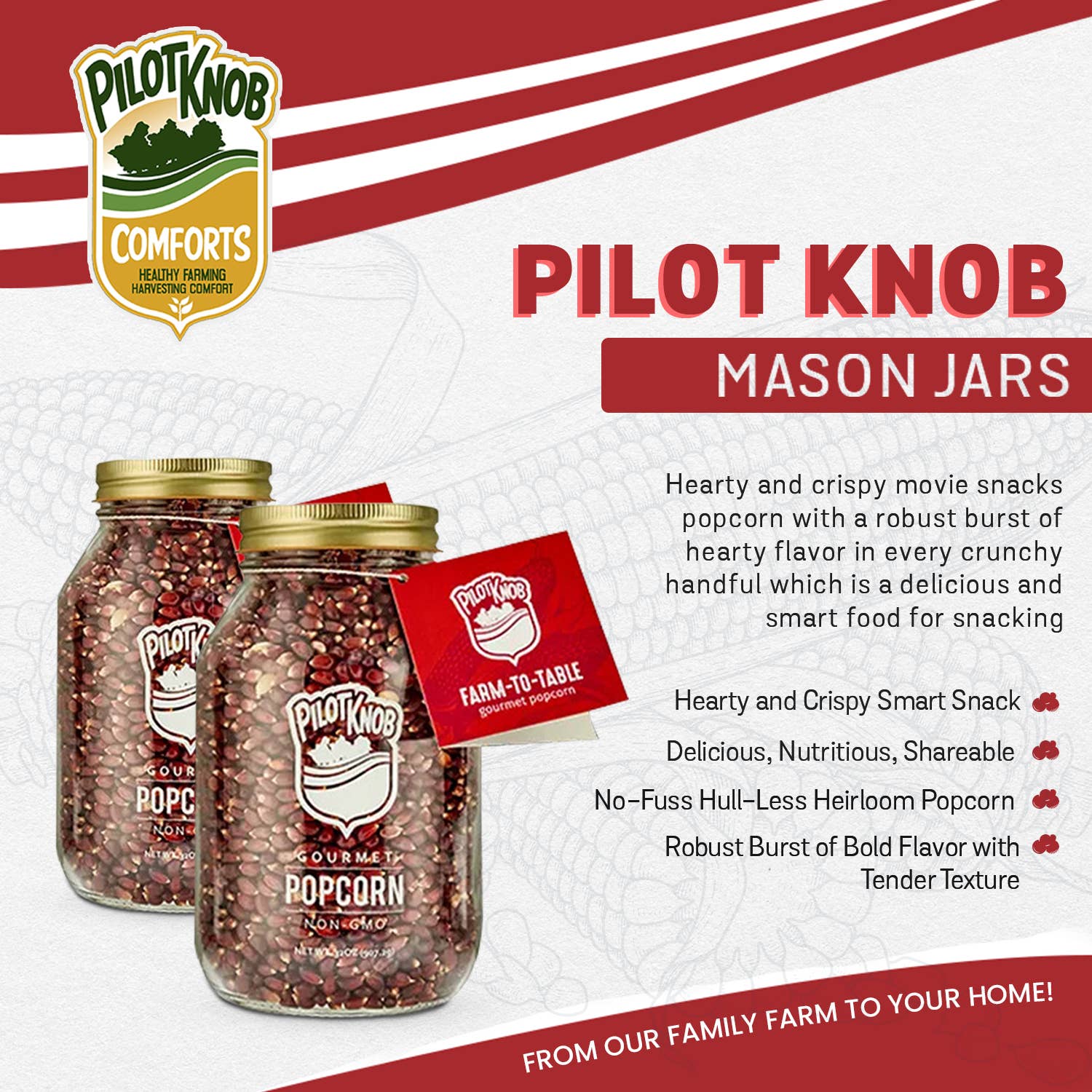 Pilot Knob Farm - Vente Pop-corn - Bocaux Mason à offrir Gourmet, maïs soufflé rouge ou bleu sans coque2
