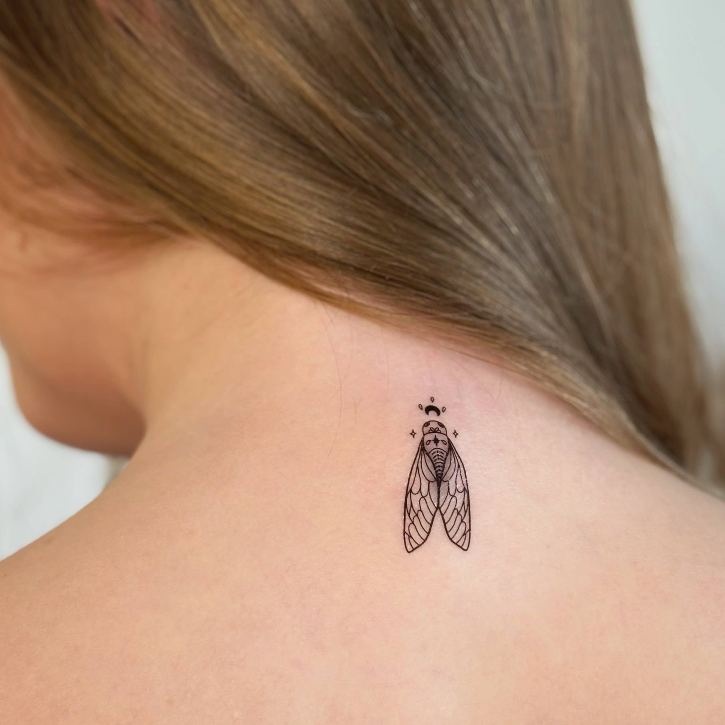 Sioou - Wholesale Temporary Tattoo - La cigale enchantée x52