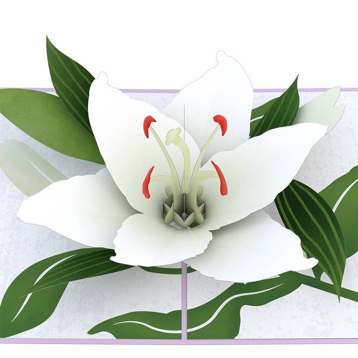 Lovepop Cards - Wholesale Sympathy Card - Sympathy Lily 5''x7'' Card, Pop-Up Cards