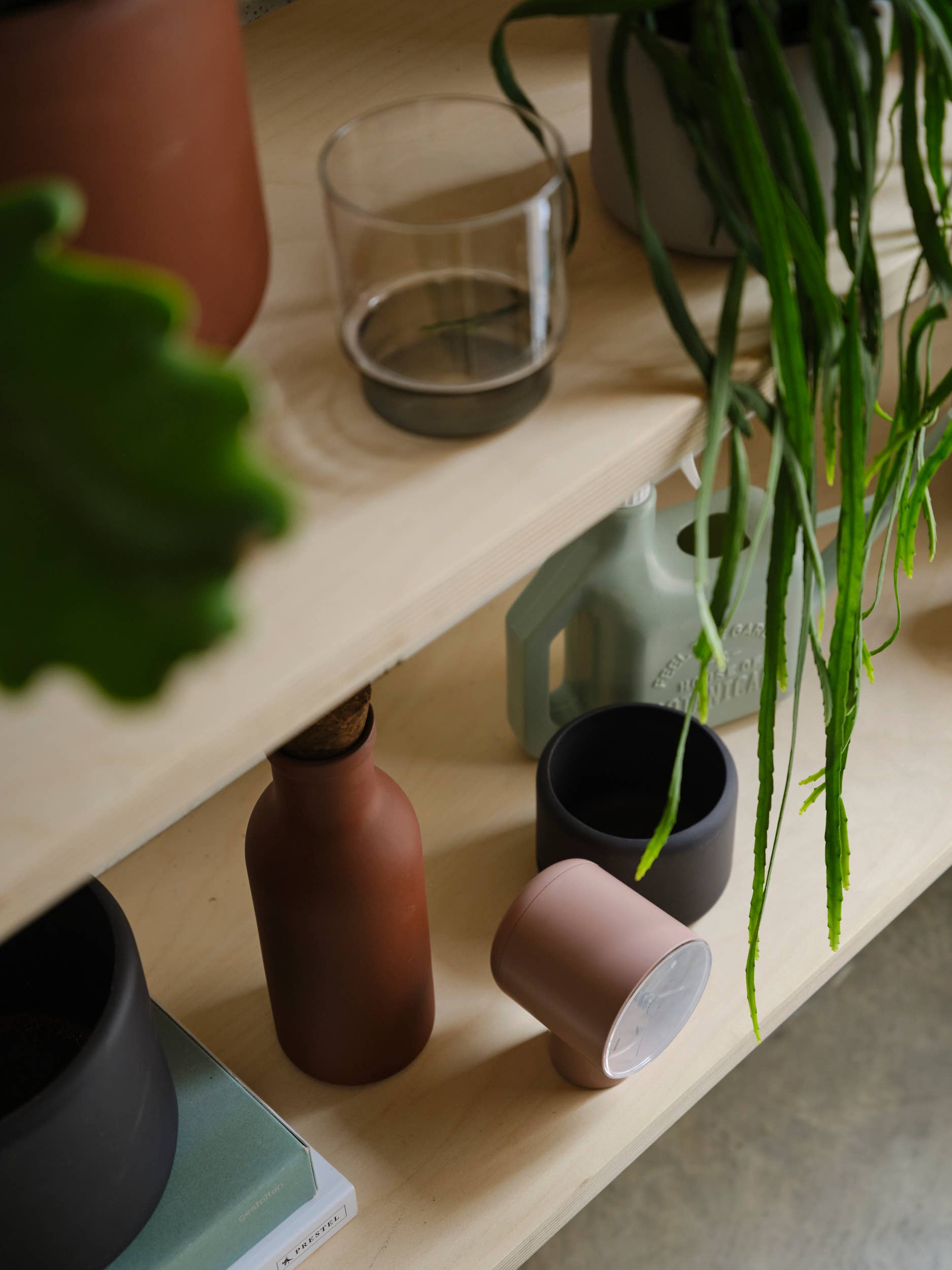 Aaron Probyn - Venta al por mayor Macetas - Maceta de porcelana BOTANY MEDIANA10