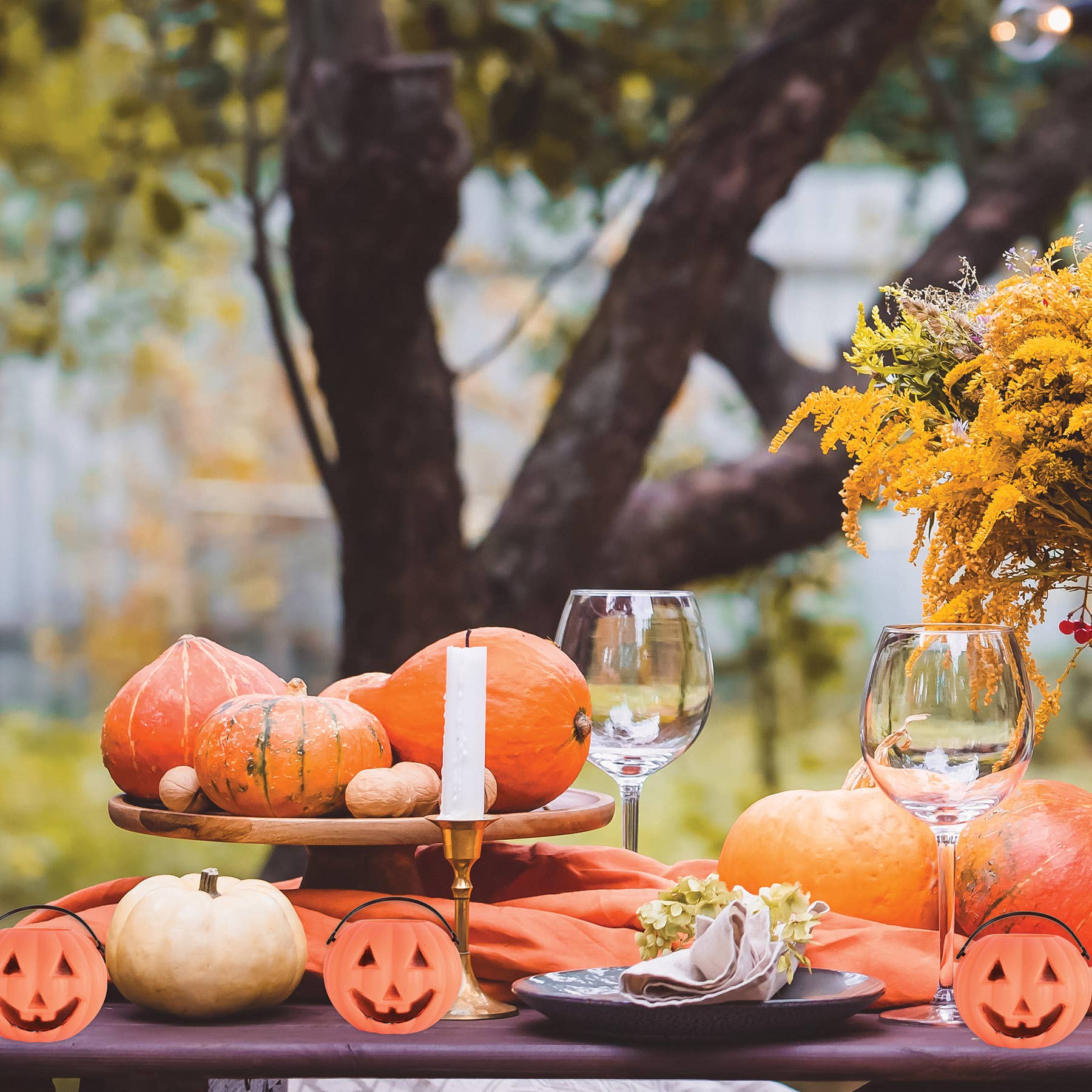 Beistle - Venta al por mayor Cubo/balde - Niños - Cubos de calabaza en miniatura de plástico de 3" x 2¾", 6 por paquete.6