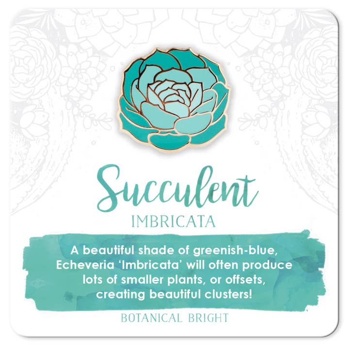 Imbricata Succulent Enamel Pin for wholesale by Botanical Bright