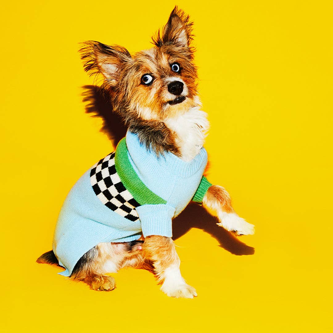 Blu/Multi Maglione a scacchiera in vendita all'ingrosso su Faire1