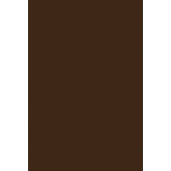 Lime All the Time - Wholesale Lounge Shorts - Women's - Lounge Shorts with Drawstring and Pockets2