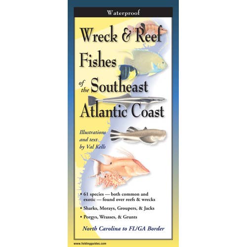Wreck & Reef Fishes of the SE Atl. Cst. for wholesale by Earth Sky + Water