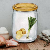 Les bocaux de Maxime - Wholesale Sauce - Parmentier cream soup