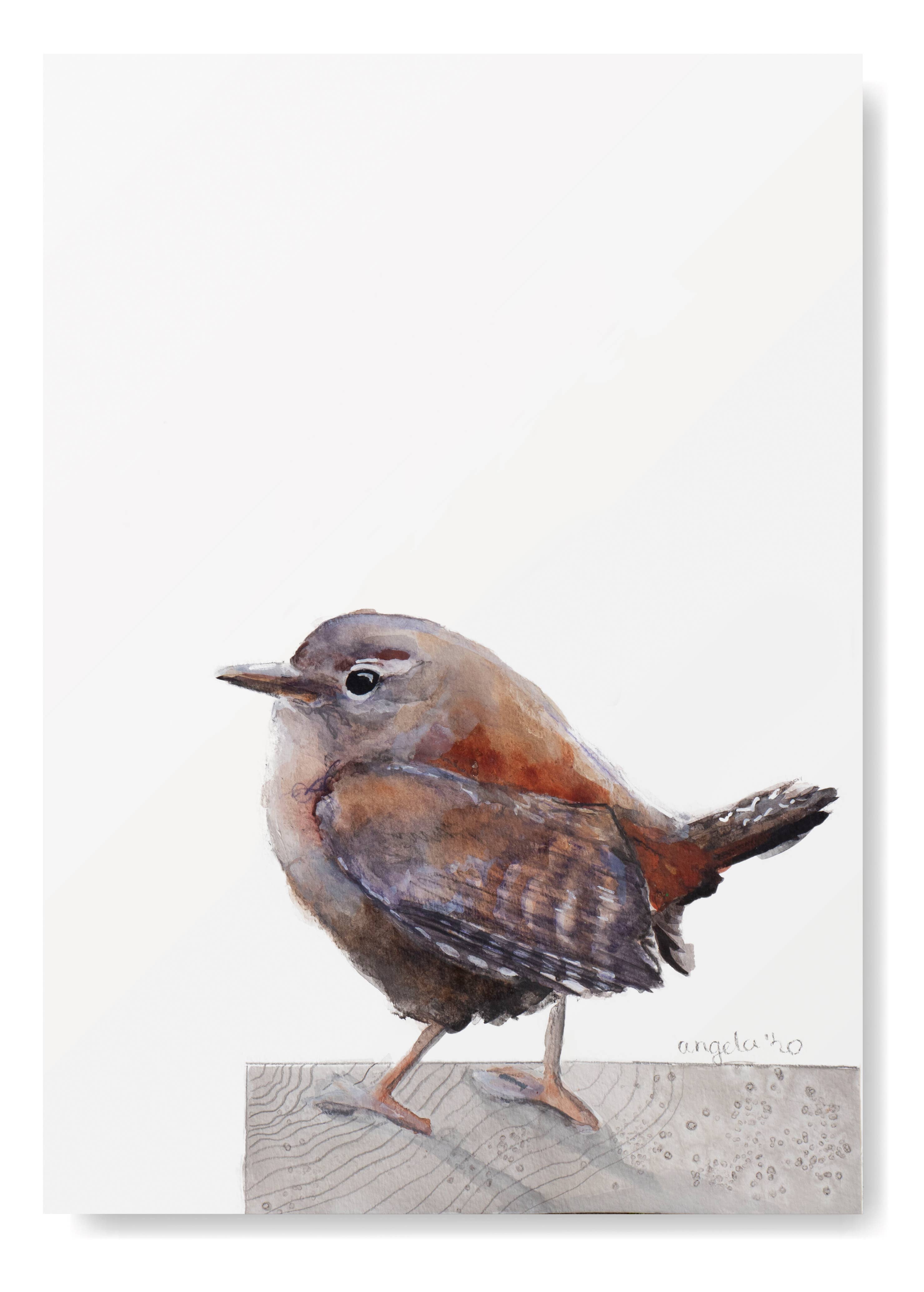 Studio Angelart - Wholesale Stationery/Notecard Set - Native Bird greeting cards set - 15 pieces5
