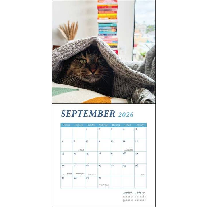 Simon & Schuster - Wholesale Calendar - Cats and Books 2026 Wall Calendar by Rizzoli Universe3