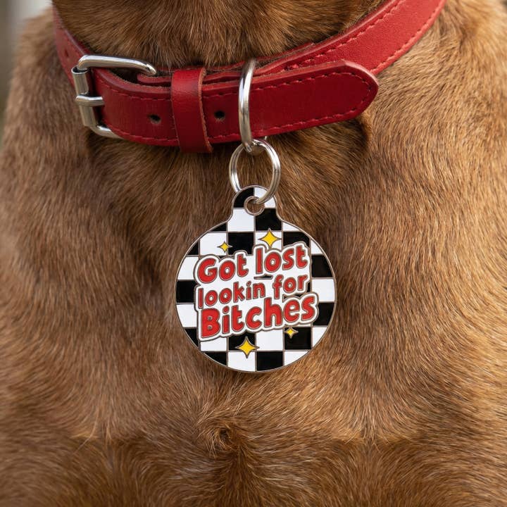 Bad Tags – wholesale Pet identification tag – Cat/dog – Enamel Dog Tag w/ Scannable Pet ID - Looking for Bitches2