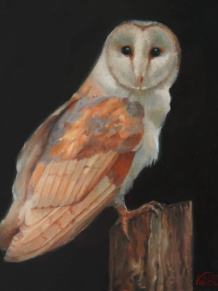 Owl Art print and greeting card for wholesale by Vinicius Art