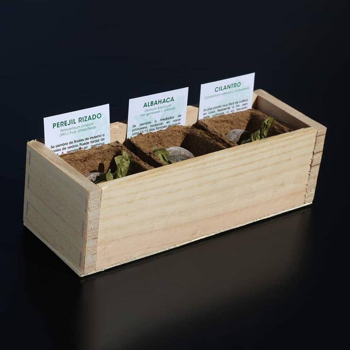 Resetea - Wholesale Plant Seeds - Mini Herb Garden🌿5