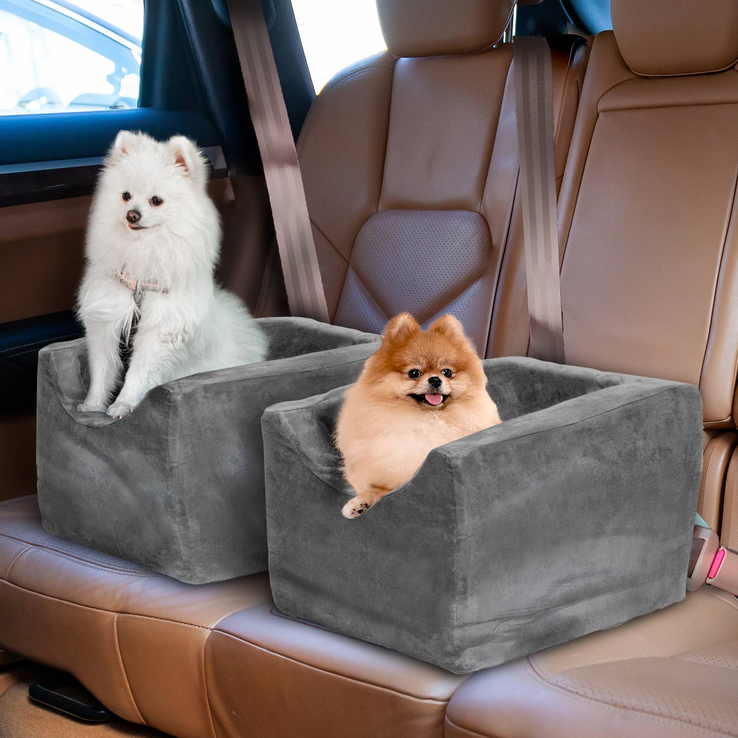 Precious Tails - Wholesale Pet Carrier - Cat/Dog - Precious Tails High Density Foam Pet Booster Seat49