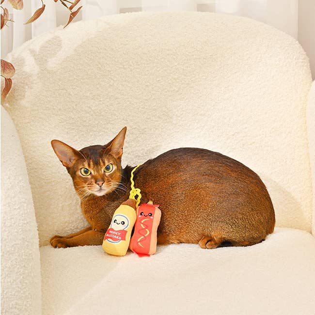 Hugsmart Products Inc - Wholesale Pet Toy Set - Cat - HugSmart Pet - Kitten Party | Foodie Feline - Cat Toy