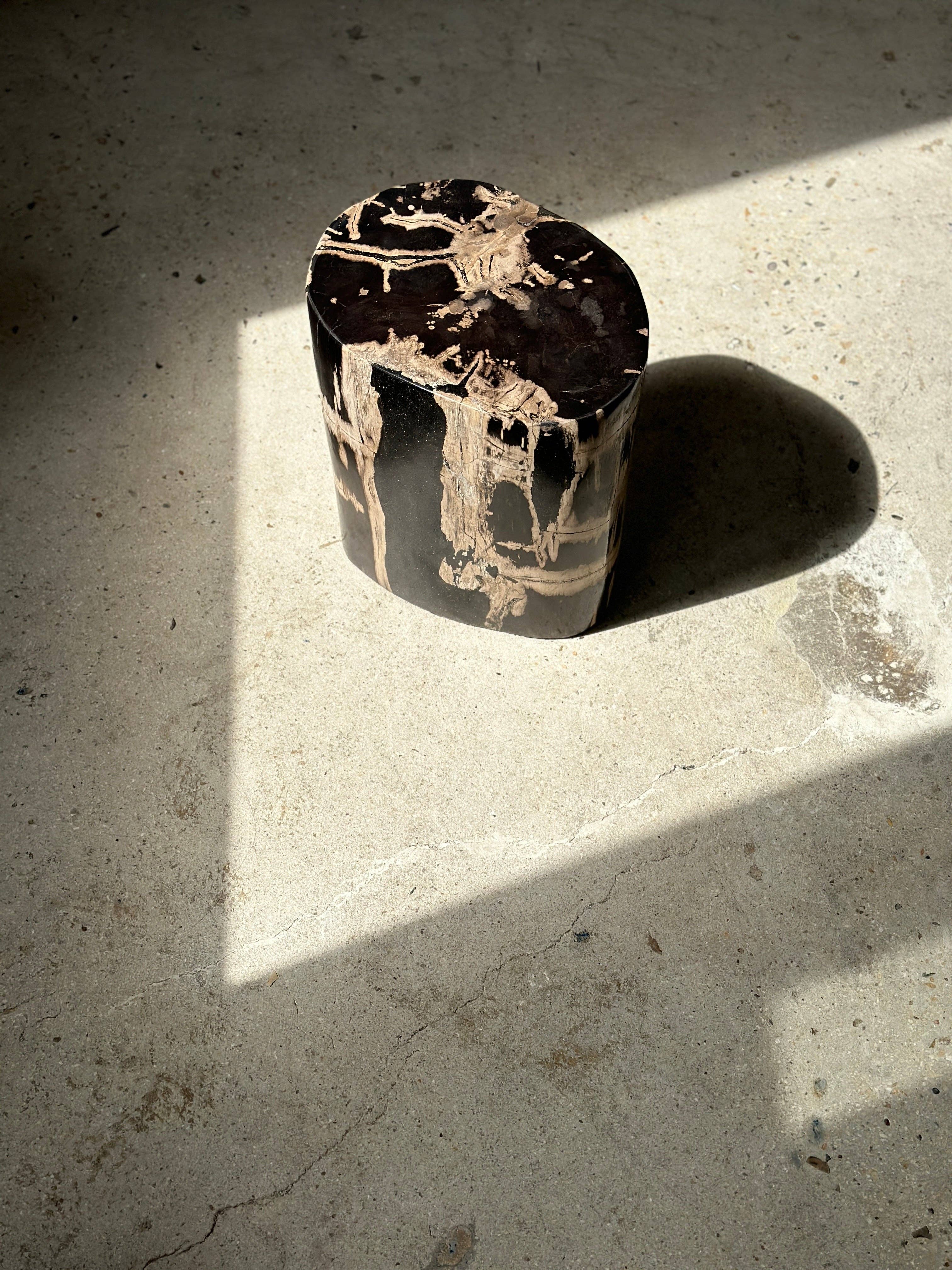 Office Objets - Vente Tables d'appoint - Table d'appoint en bois pétrifié12