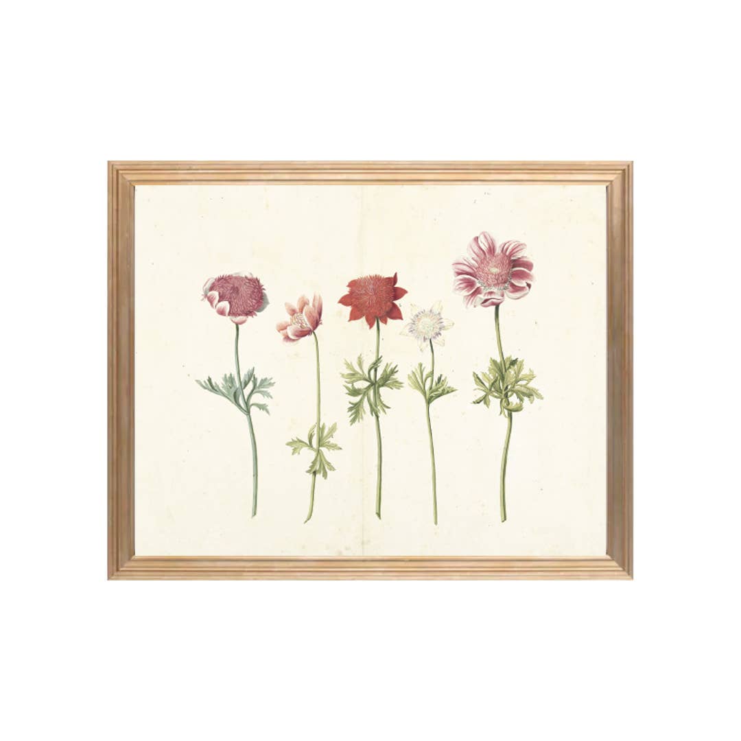 Pink Lemon Decor - Wholesale Art Print - Spring Blooms Print1