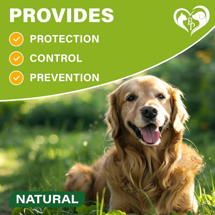 Beloved Pets - Wholesale Pet Collar - Dog - Natural Flea & Tick Collar for Dogs - 6 Months Control of Best Prevention & Safe Treatment - Anti Fleas and Ticks Essential Oil Repellent (2 Count (Pack of 2))