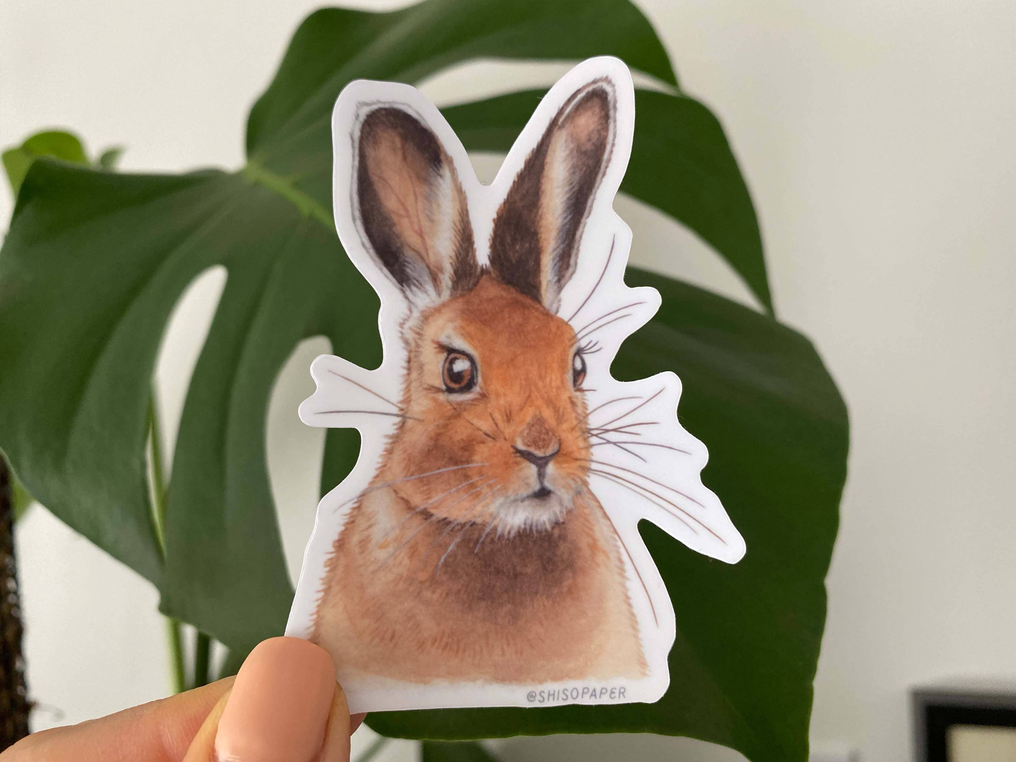 Adesivo de vinil Brown Rabbit por atacado de Shiso Paper