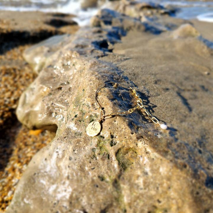 la plagette sauvage - Wholesale Charm/Dangle Bracelet - Robinson bracelet2