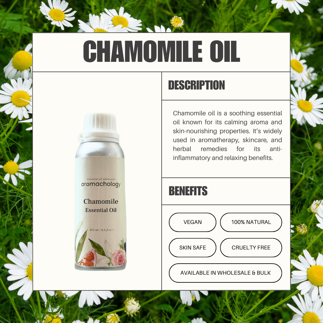 Aromachology - Wholesale Essential oil - Roman Chamomile Essential Oil7