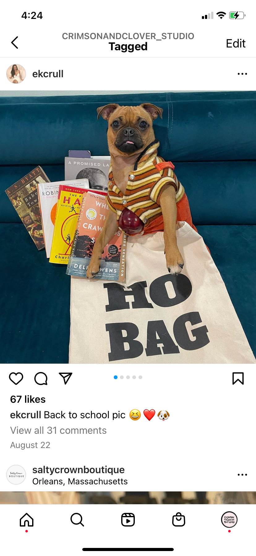 Crimson and Clover Studio - Wholesale Tote Bag - Women's - Ho Bag Funny Tote Bag3