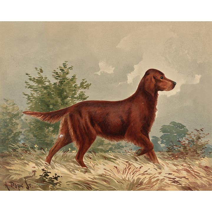 Sea to Skye - Wholesale Art Print - Flatcoated Retriever Antique Art Print1