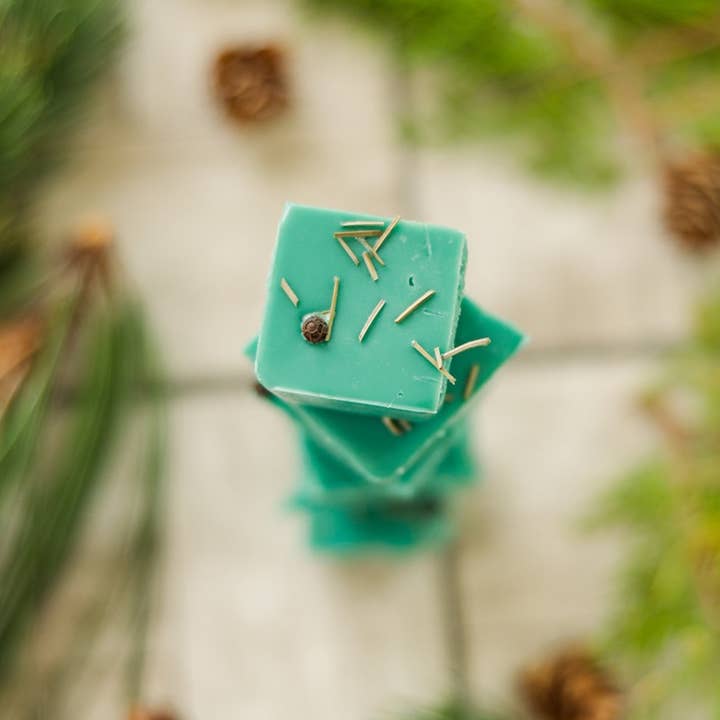 Candles By Laura - Wholesale Wax Melt - Bayberry and Pine Soy Wax Melt1