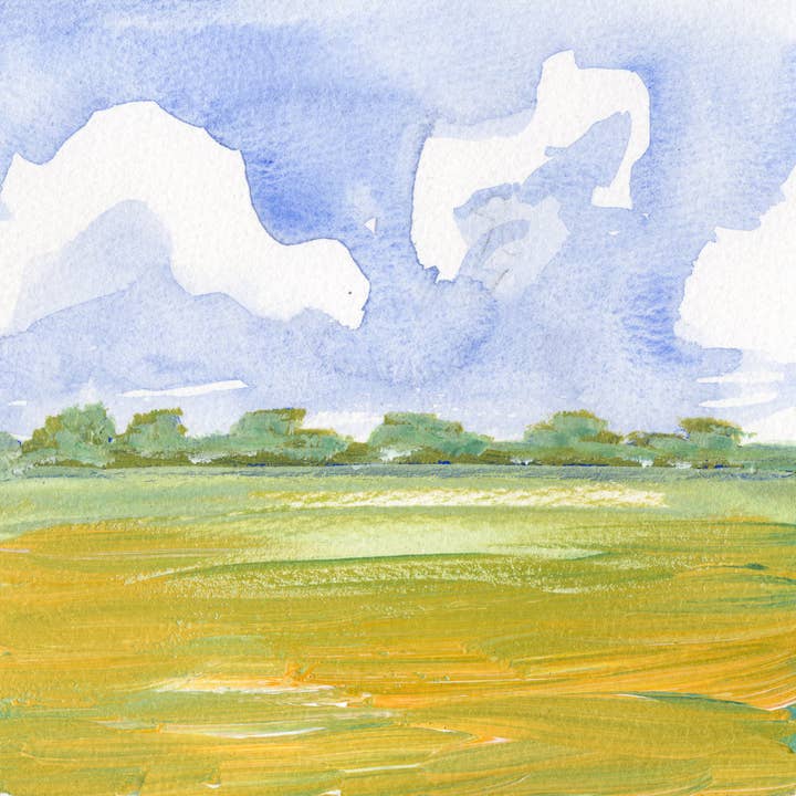 Marigolds for wholesale by AG Print Shop