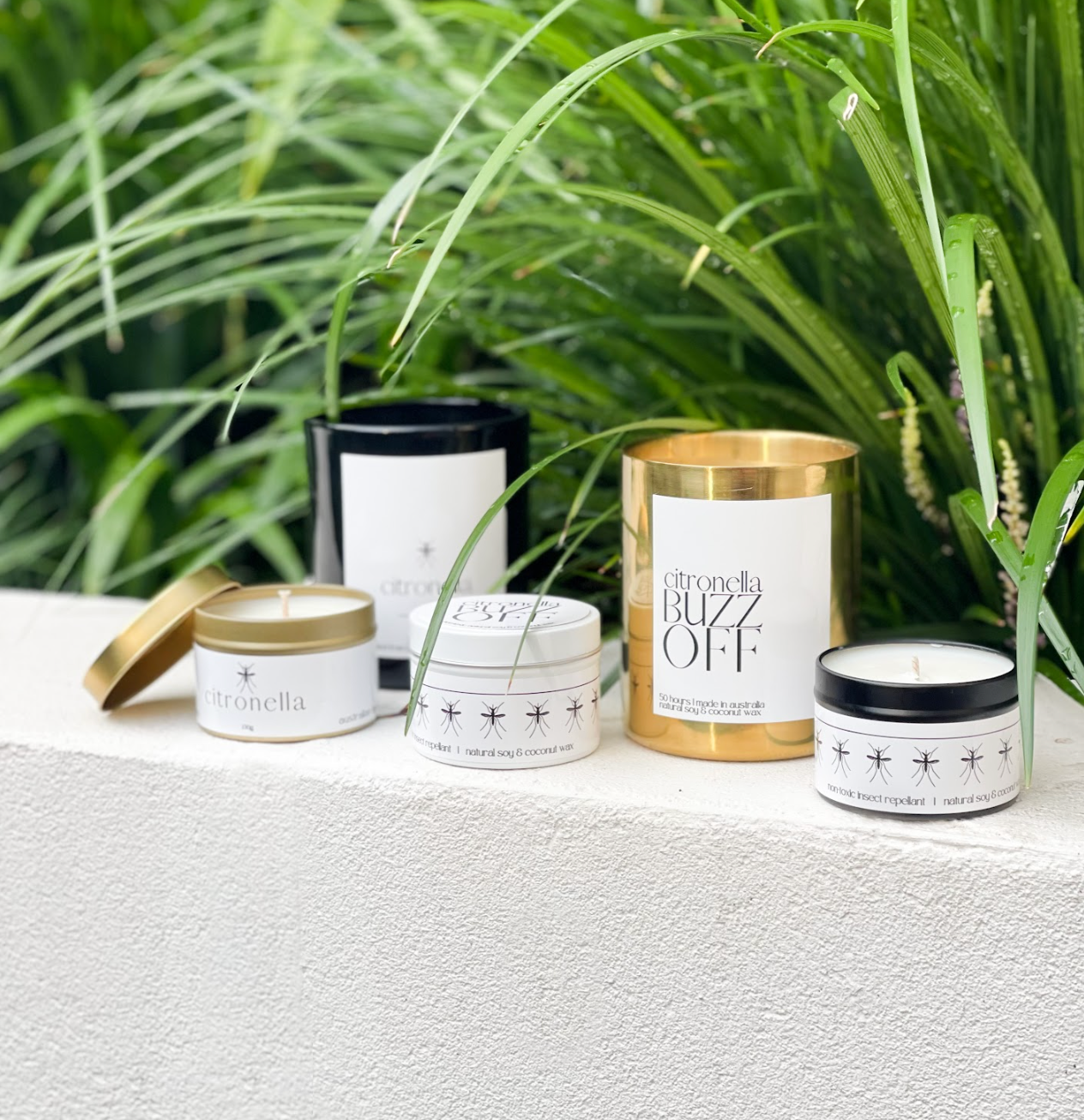 CEDARGRIS PRIVATE LABEL - Wholesale Jar/Filled Candle - 100g Private Label Tin Candle - Black3