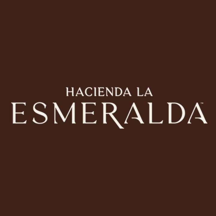 Hacienda Esmeralda Noria Washed Geisha 4FB 100g for wholesale by Rosso Coffee Roasters