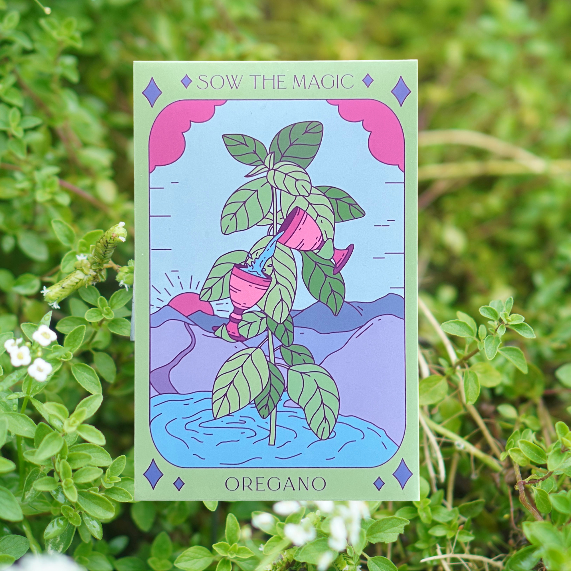 Sow the Magic - Wholesale Plant Seeds - Culinary Herb Bundle Seed Collection6