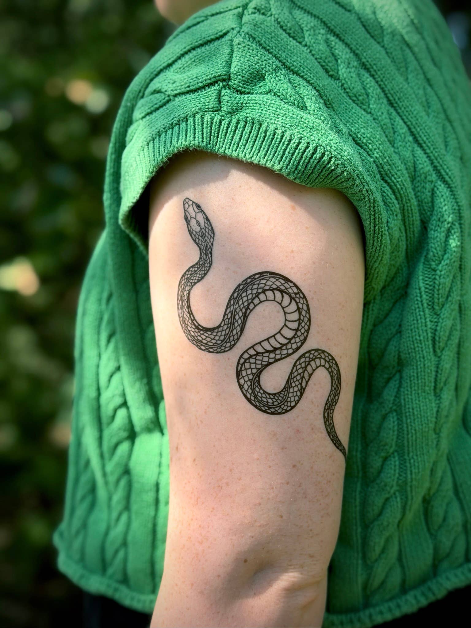 NatureTats - Wholesale Temporary Tattoo - Garden Snake Temporary Tattoo7