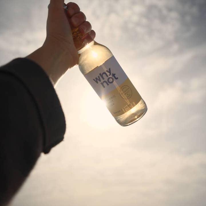 Why Not Soda - Wholesale Soda/Carbonated Drink - Lemon + Mate - Organic Fruit Soda (bottle)1