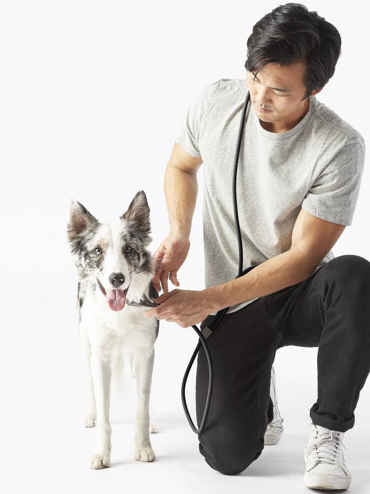 Magic Leash™ Hands Free Leash for wholesale by Fable Pets