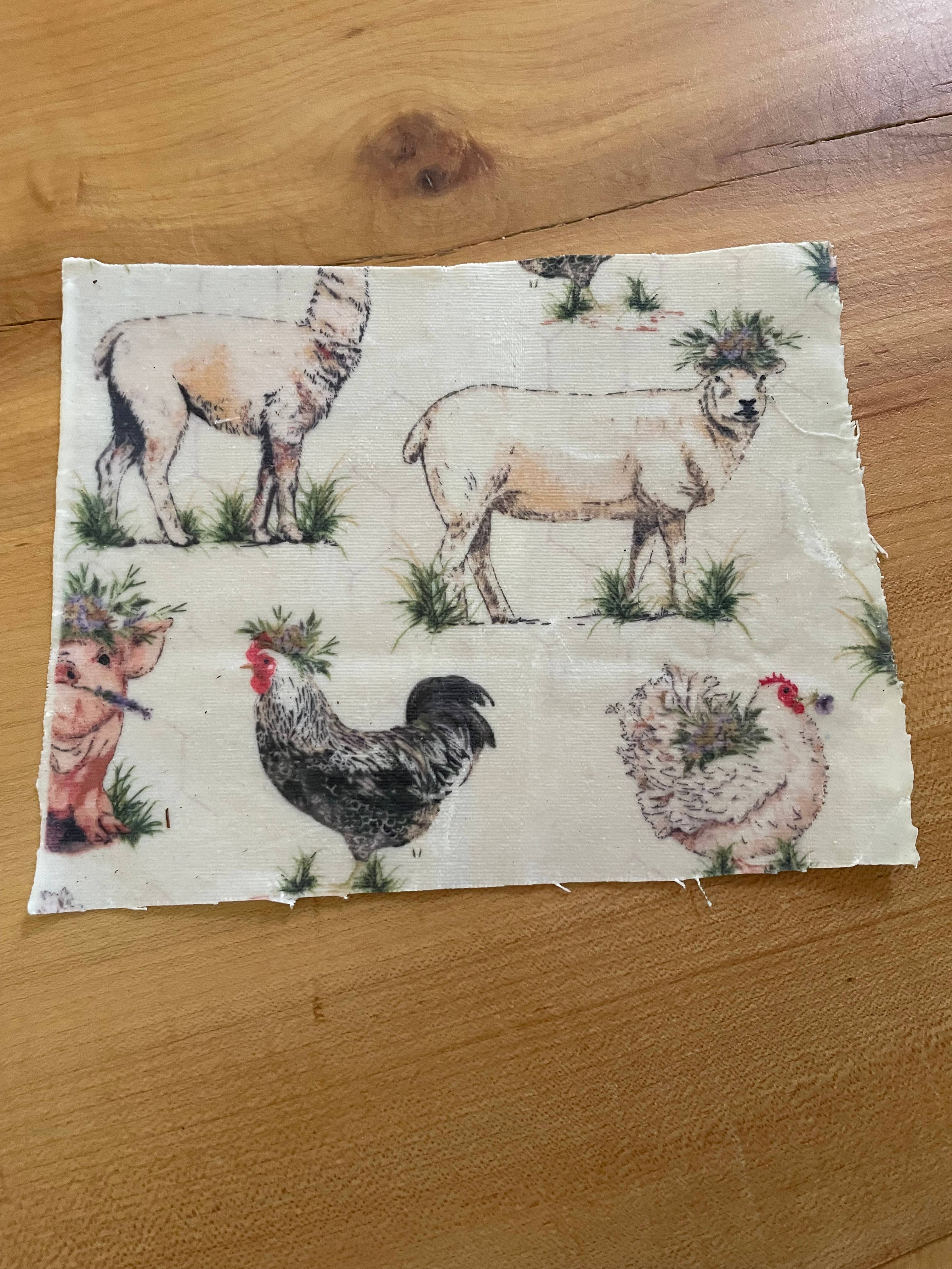 Harvest + Harmony - Wholesale Food Storage Wrap/Bag - Harvest + Harmony Beeswax Wrap, 6" x 6", Farm Decor 2