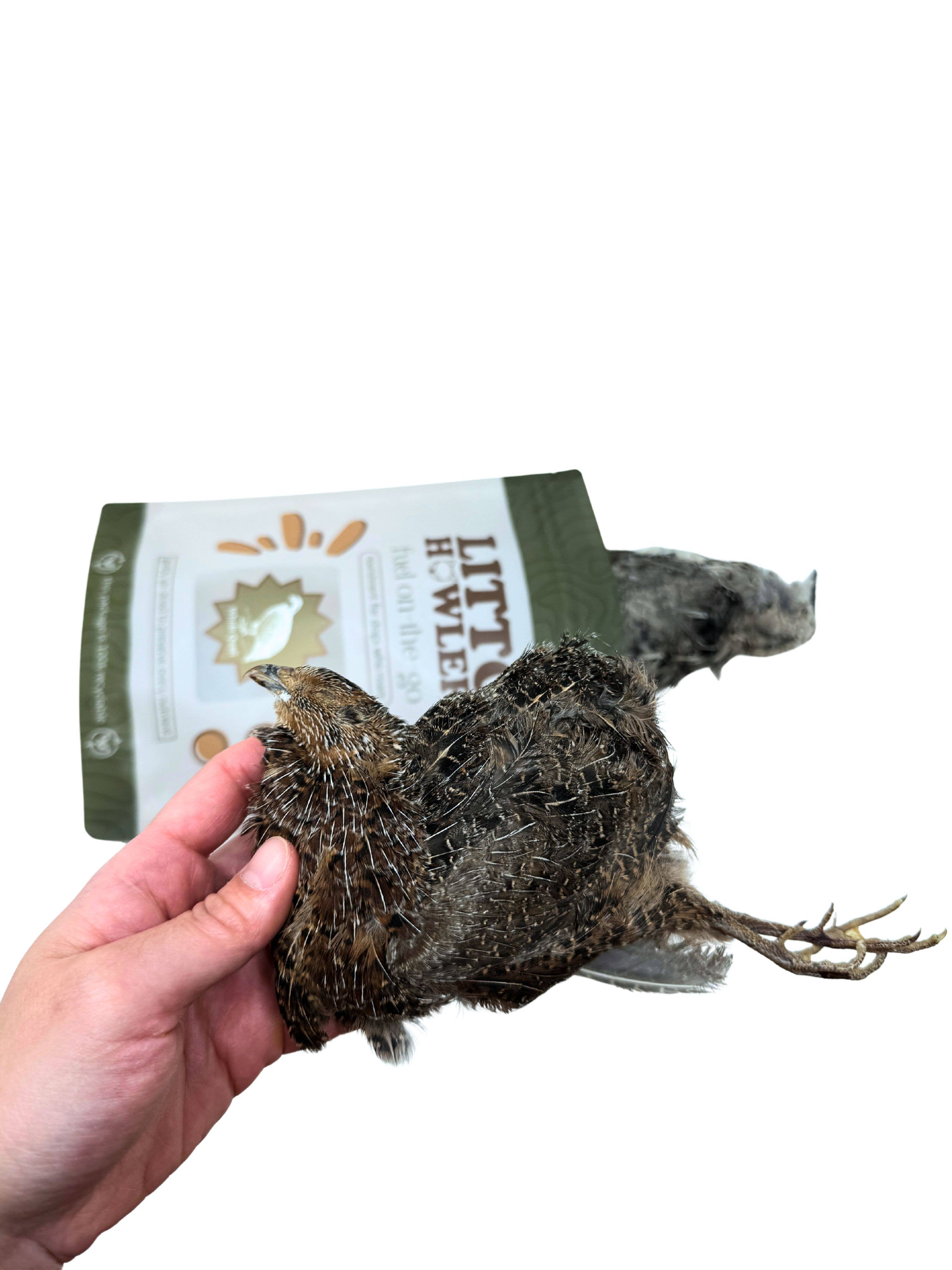 Litto Howler - Wholesale Pet Treats - Dog - Whole Prey Quail1