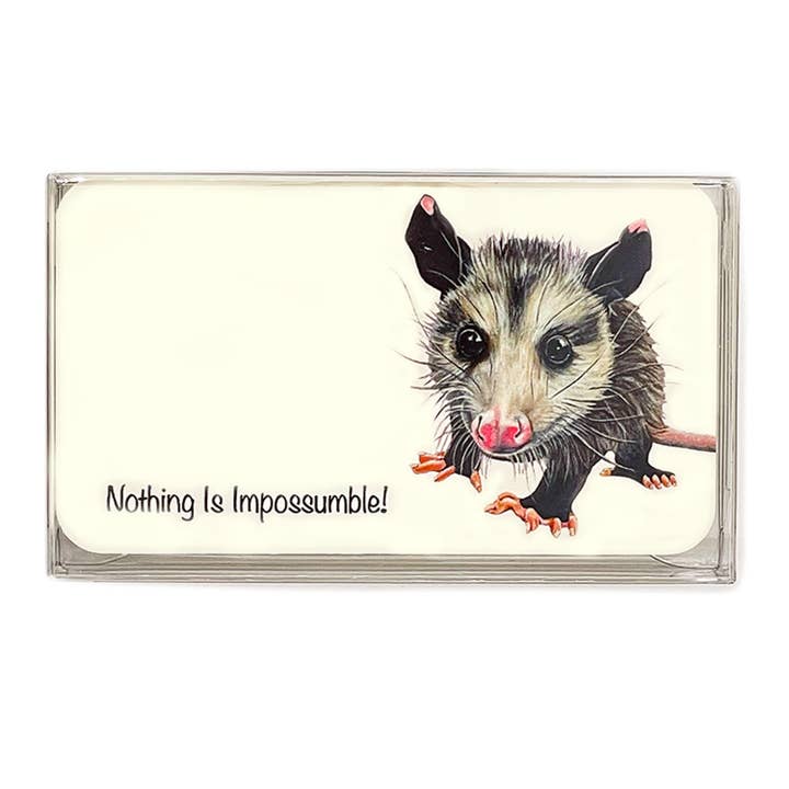 Woollybear Travels - Wholesale Stationery/Notecard Set - Pawsitive Notes- Rescued Opossum (Lunch Box Notes)5