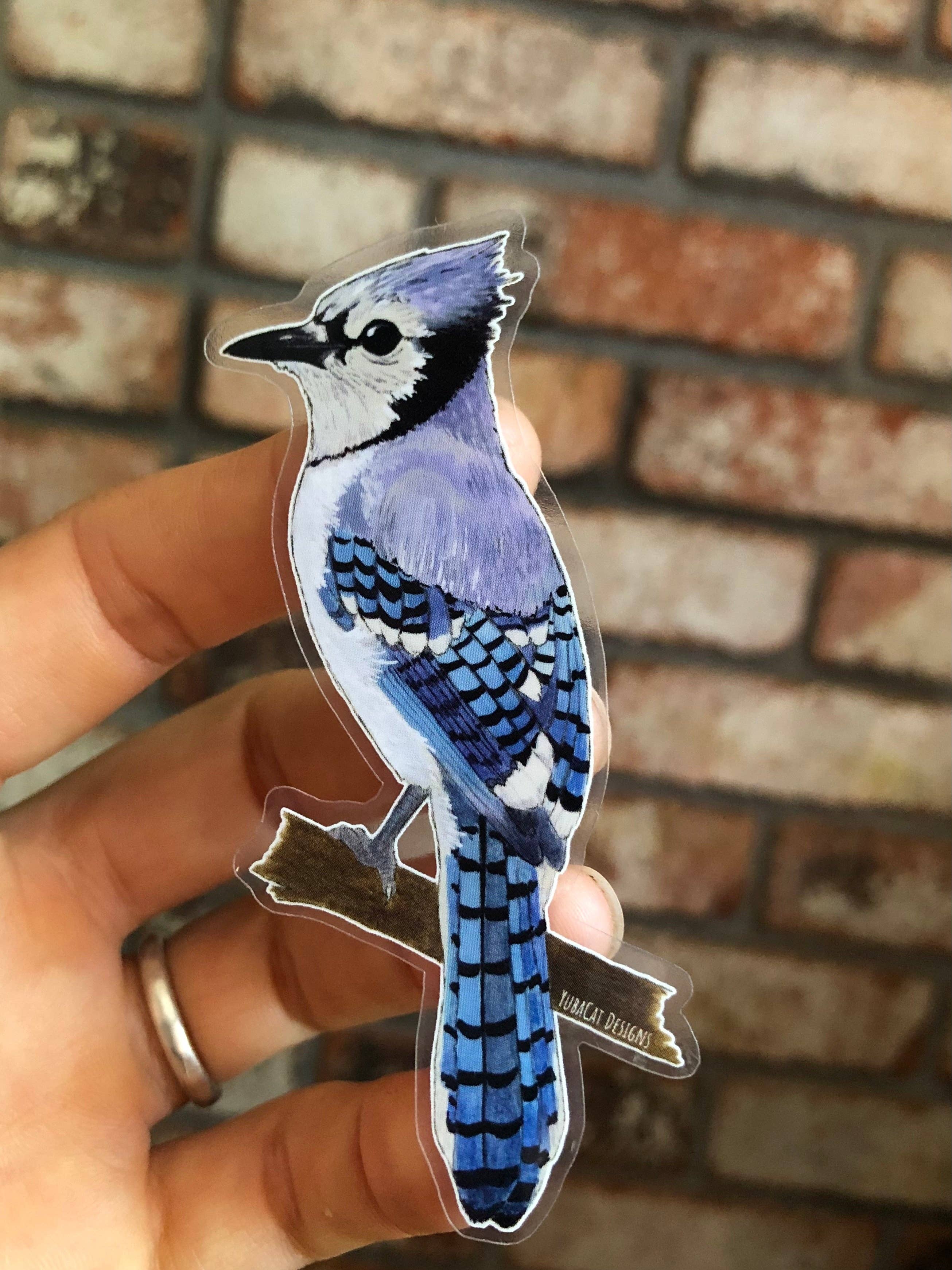 YubaCat Designs - Wholesale Sticker - Blue Jay Sticker3