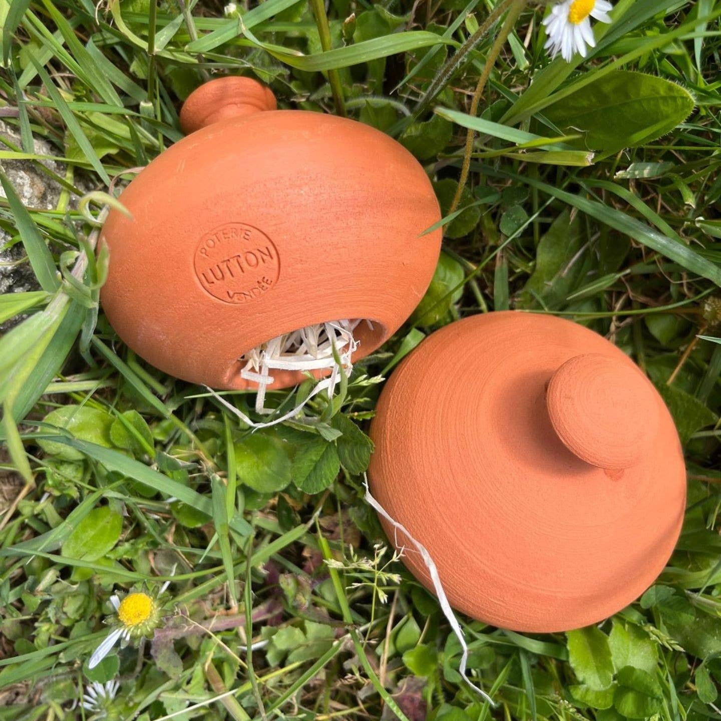 Poterie lutton – wholesale Trädgårdsverktyg – Öronvigg för tvestjärtar3