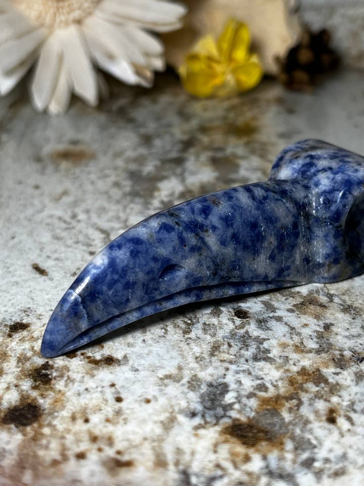 Sodalite Raven Skalle för wholesale av Godly Crystals LLC