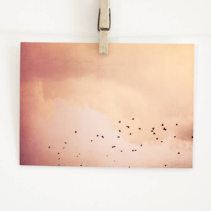 Justepixx - Wholesale Postcard - Postcard birds in the sky A62