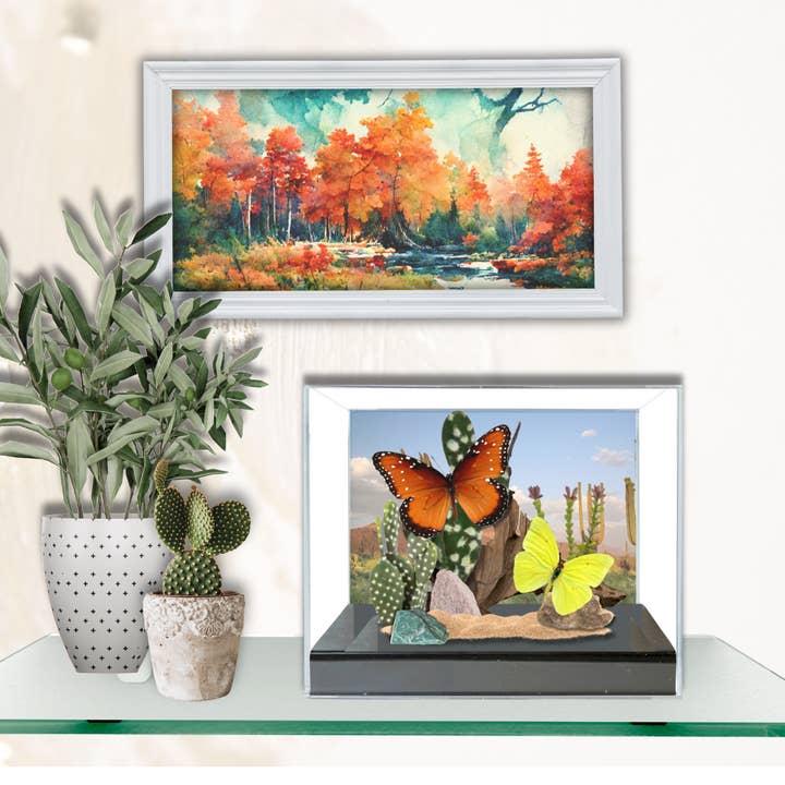 Instar Innovations - Wholesale Decorative Tabletop Object - Real Desert Butterfly Diorama USA - 6x8x6 in #1 Monarch