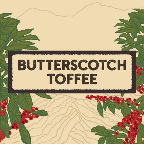 Dark Canyon Coffee Company - Wholesale Coffee Beans - Butterscotch Toffee Flavored Coffee, Regular, 3oz Bag