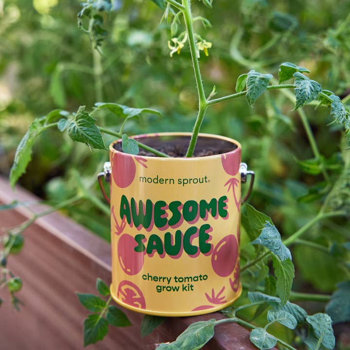 Modern Sprout - Wholesale Plant Seeds - Complimentary Color Grow Kits