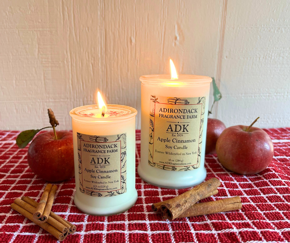 Adirondack Fragrance  Flavor Farm - Vente Bougie en bocal - Bougie d'automne en cire de soja coulée à la main Apple Cinnamon1