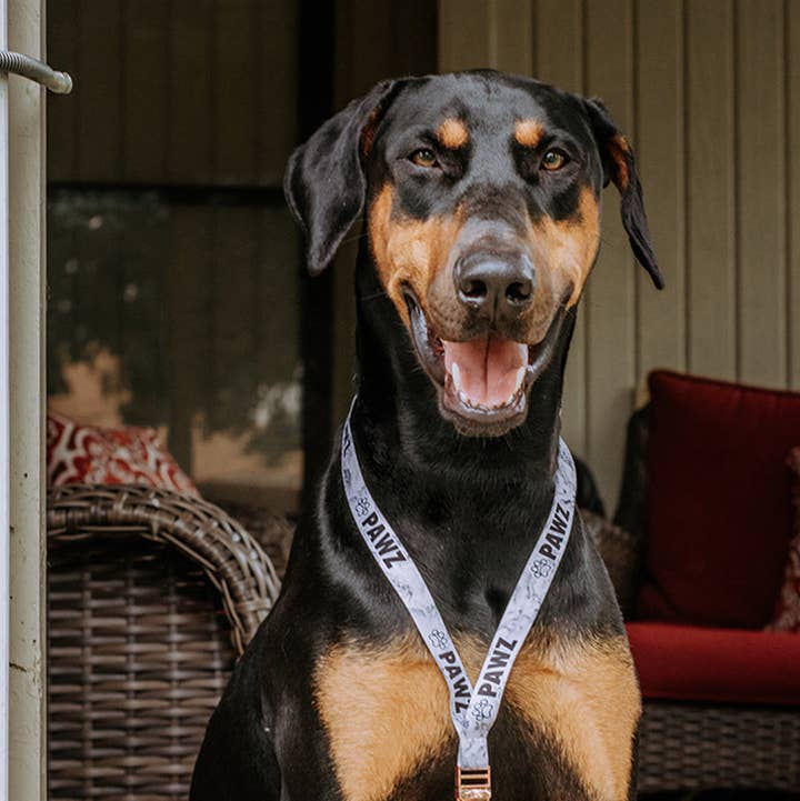 White Marble Lanyard for wholesale by PAWZ